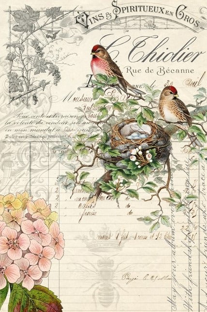 Roycycled Decoupage Paper - Bird Ephemera
