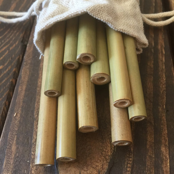 Reusable 100% Natural Bamboo Drinking Straws | 10 Pack| Includes Cleaning Brush